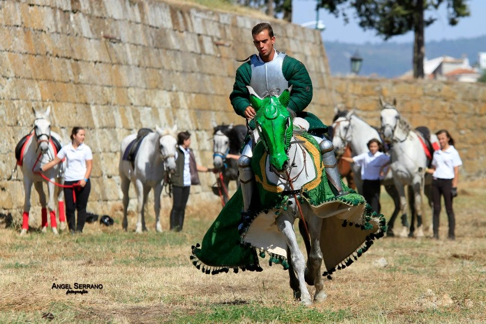 Justa Medieval