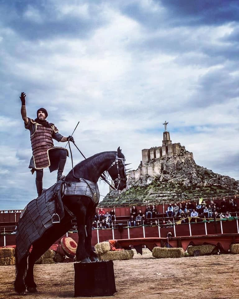 Caballero Medieval 2